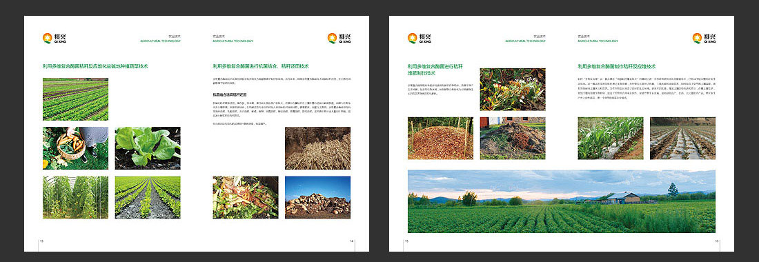 祺興生物公司高檔畫冊(cè)設(shè)計(jì)-6
