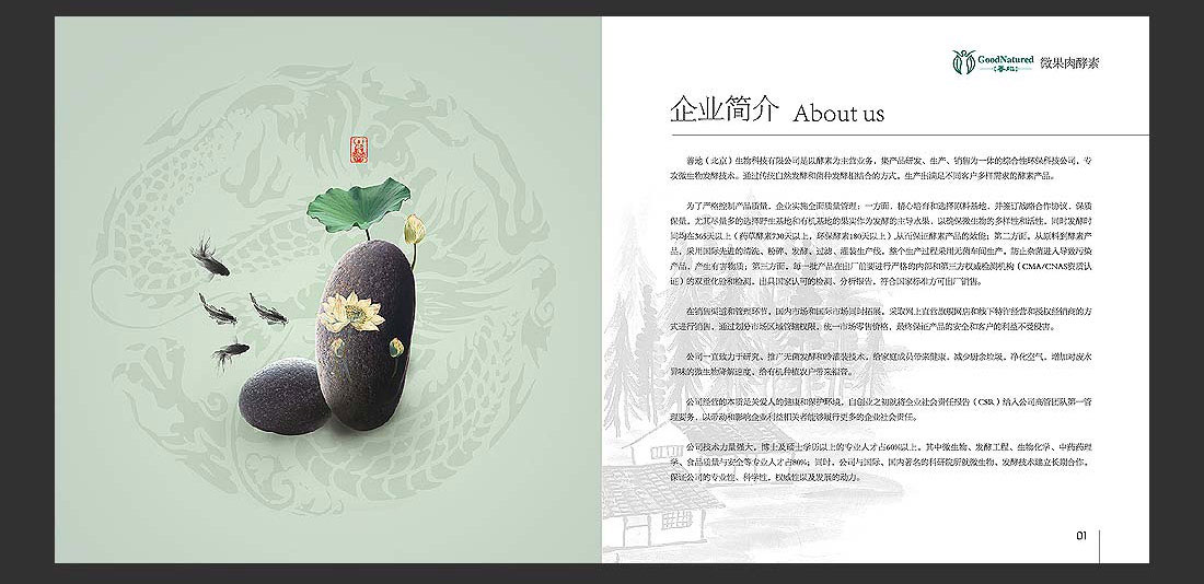 善地生物科技宣傳冊(cè)_酵素飲料產(chǎn)品冊(cè)-5